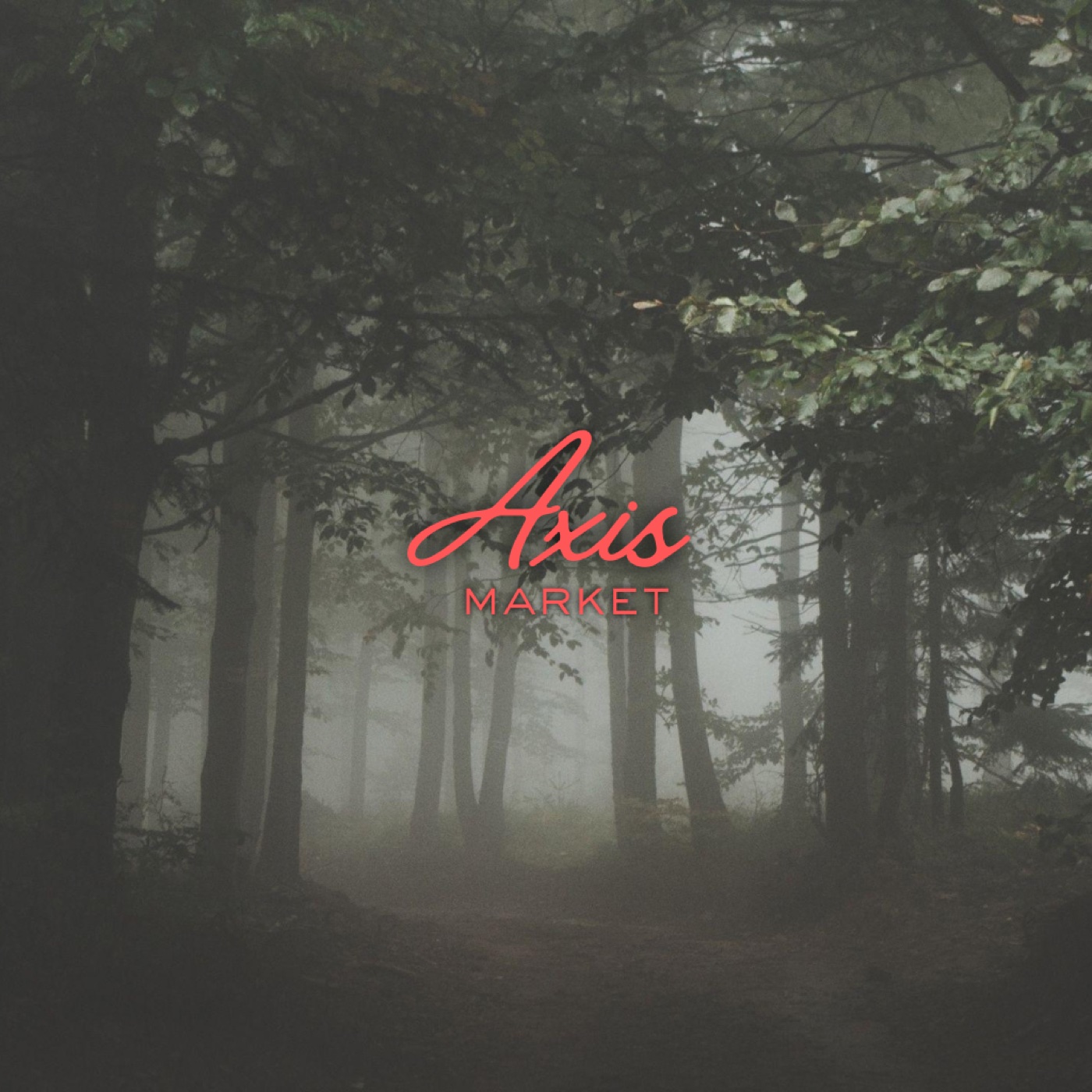 AXIS Market — forest script exploration